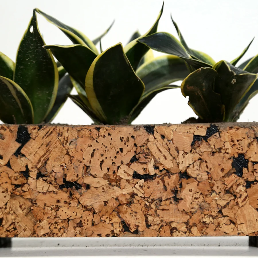 Triplanter